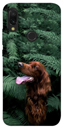 Чехол itsPrint Собака в зелени для Xiaomi Redmi 7