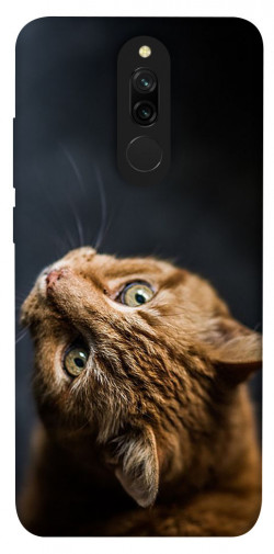 Чехол itsPrint Рыжий кот для Xiaomi Redmi 8