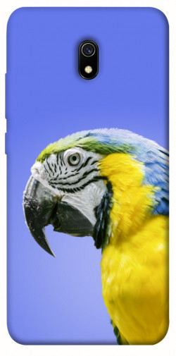 Чехол itsPrint Попугай ара для Xiaomi Redmi 8a