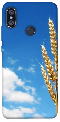 Чехол itsPrint Пшеница для Xiaomi Redmi Note 5 Pro / Note 5 (AI Dual Camera)