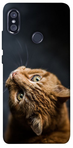 Чехол itsPrint Рыжий кот для Xiaomi Redmi Note 5 Pro / Note 5 (AI Dual Camera)