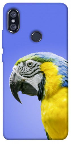 Чохол itsPrint Папуга ара для Xiaomi Redmi Note 5 Pro / Note 5 (AI Dual Camera)