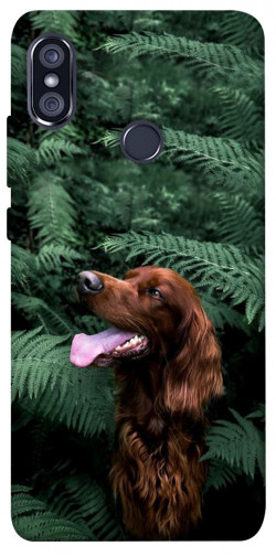 Чехол itsPrint Собака в зелени для Xiaomi Redmi Note 5 Pro / Note 5 (AI Dual Camera)
