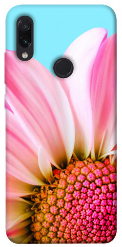 Чохол itsPrint Квіткові пелюстки для Xiaomi Redmi Note 7 / Note 7 Pro / Note 7s