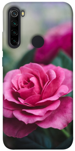 Чохол itsPrint Троянда у саду для Xiaomi Redmi Note 8