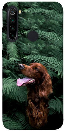 Чехол itsPrint Собака в зелени для Xiaomi Redmi Note 8