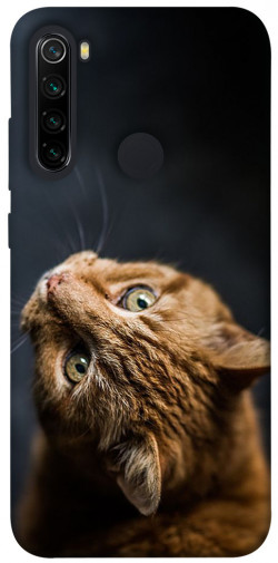 Чохол itsPrint Рудий кіт для Xiaomi Redmi Note 8