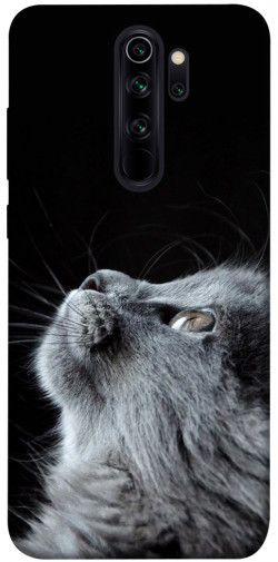 Чехол itsPrint Cute cat для Xiaomi Redmi Note 8 Pro