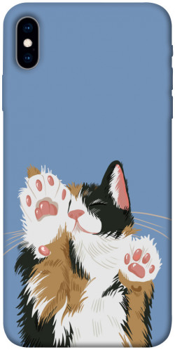 Чохол itsPrint Funny cat для Apple iPhone X (5.8")