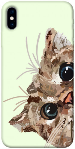 Чохол itsPrint Cat muzzle для Apple iPhone X (5.8")
