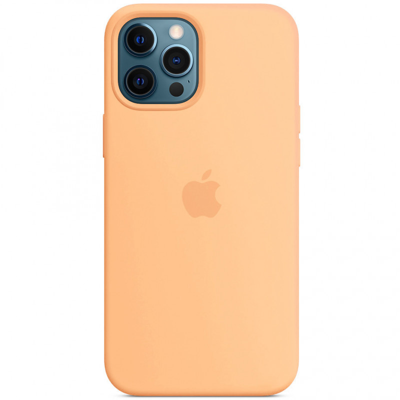 Чохол Silicone case (AAA) with Magsafe для Apple iPhone 12 Pro Max (6.7) на малюнкі №1