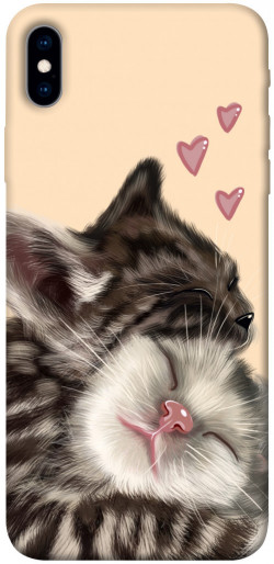Чехол itsPrint Cats love для Apple iPhone XS Max (6.5")
