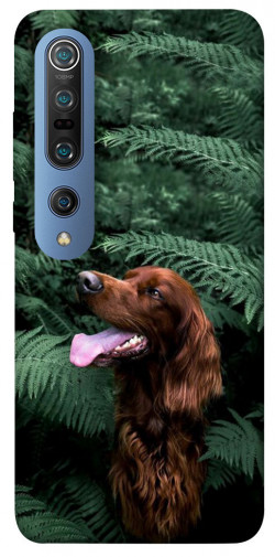 Чехол itsPrint Собака в зелени для Xiaomi Mi 10 / Mi 10 Pro