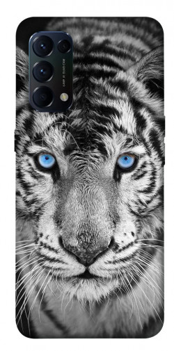Чохол itsPrint Бенгальський тигр для Oppo Reno 5 4G