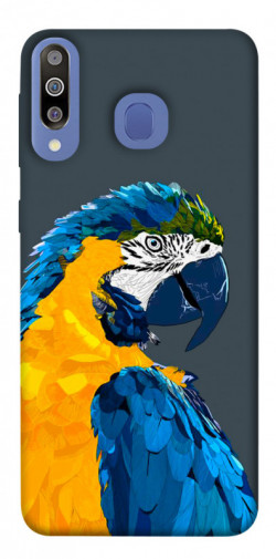 Чехол itsPrint Попугай для Samsung Galaxy M30