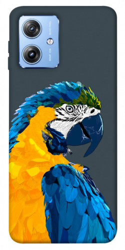 Чехол itsPrint Попугай для Motorola Moto G84