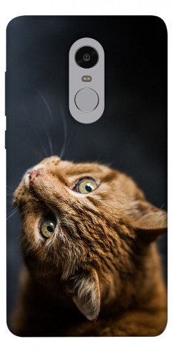 Чехол itsPrint Рыжий кот для Xiaomi Redmi Note 4X / Note 4 (Snapdragon)