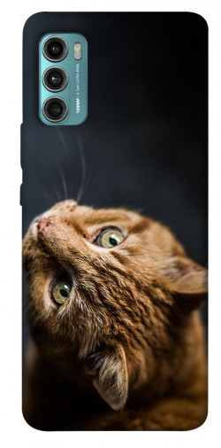 Чехол itsPrint Рыжий кот для Motorola Moto G60