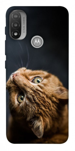 Чехол itsPrint Рыжий кот для Motorola Moto E20
