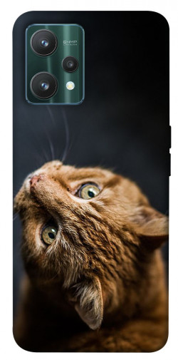 Чехол itsPrint Рыжий кот для Realme 9 Pro