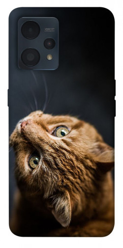 Чехол itsPrint Рыжий кот для Realme 9 4G / 9 Pro+
