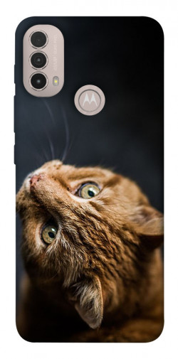 Чехол itsPrint Рыжий кот для Motorola Moto E40