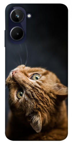 Чехол itsPrint Рыжий кот для Realme 10 4G