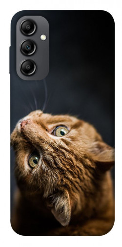 Чехол itsPrint Рыжий кот для Samsung Galaxy A14 4G/5G