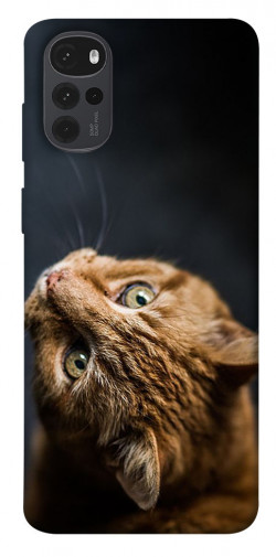 Чехол itsPrint Рыжий кот для Motorola Moto G22