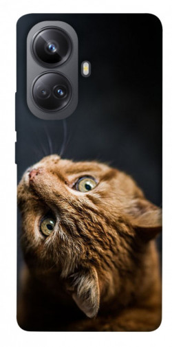 Чехол itsPrint Рыжий кот для Realme 10 Pro+