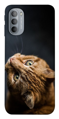 Чехол itsPrint Рыжий кот для Motorola Moto G31