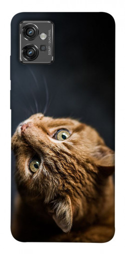 Чехол itsPrint Рыжий кот для Motorola Moto G32