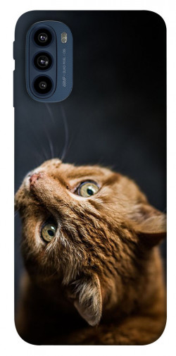 Чехол itsPrint Рыжий кот для Motorola Moto G41