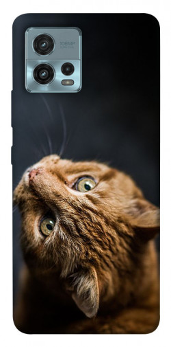 Чехол itsPrint Рыжий кот для Motorola Moto G72
