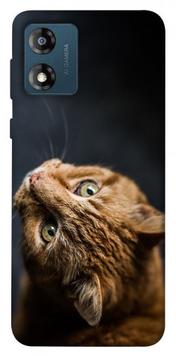 Чехол itsPrint Рыжий кот для Motorola Moto E13