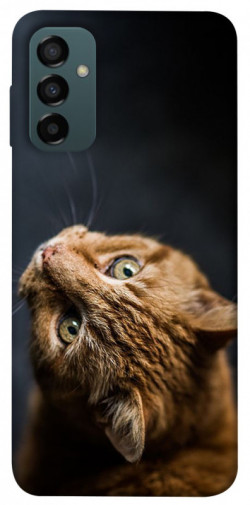 Чехол itsPrint Рыжий кот для Samsung Galaxy M14 5G