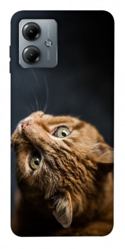 Чехол itsPrint Рыжий кот для Motorola Moto G14