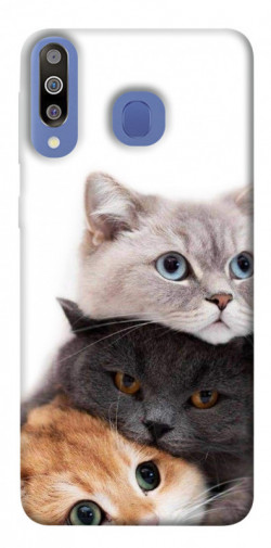 Чехол itsPrint Три кота для Samsung Galaxy M30