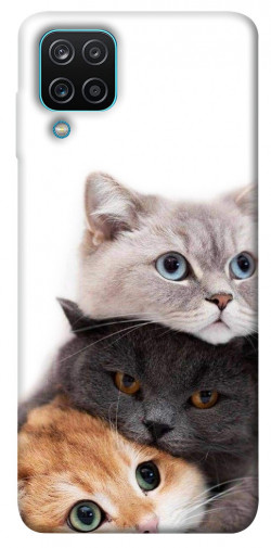 Чохол itsPrint Три коти для Samsung Galaxy M12