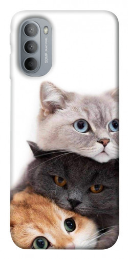 Чехол itsPrint Три кота для Motorola Moto G31