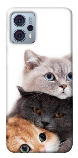 Чехол itsPrint Три кота для Motorola Moto G23