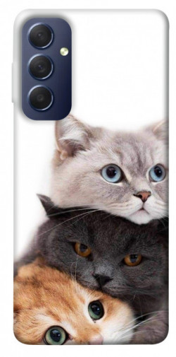 Чехол itsPrint Три кота для Samsung Galaxy M54 5G