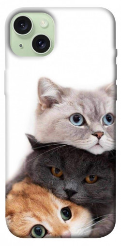 Чехол itsPrint Три кота для Apple iPhone 15 Plus (6.7")