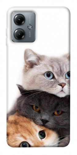 Чехол itsPrint Три кота для Motorola Moto G14