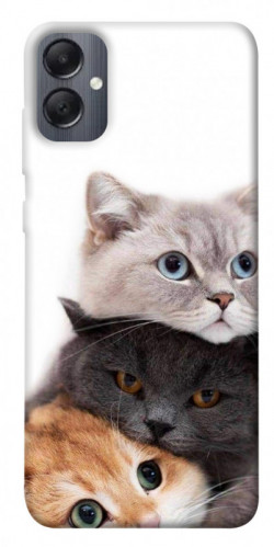 Чехол itsPrint Три кота для Samsung Galaxy A05