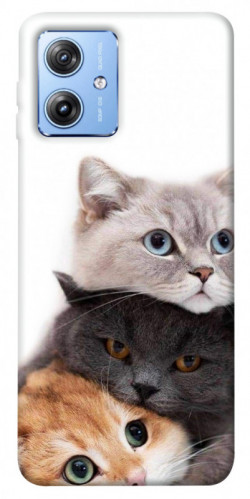 Чехол itsPrint Три кота для Motorola Moto G84