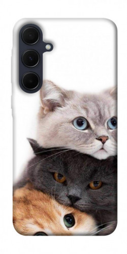 Чехол itsPrint Три кота для Samsung Galaxy A55