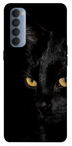 Чохол itsPrint Чорний кіт для Oppo Reno 4 Pro