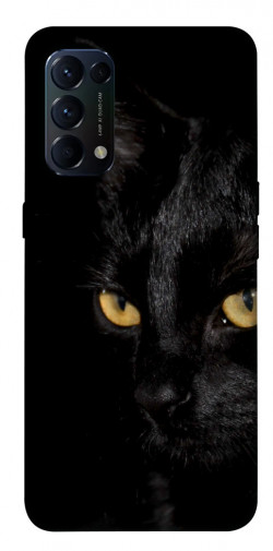 Чохол itsPrint Чорний кіт для Oppo Reno 5 4G