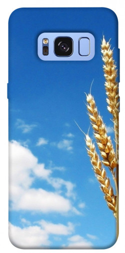 Чохол itsPrint Пшениця для Samsung G950 Galaxy S8